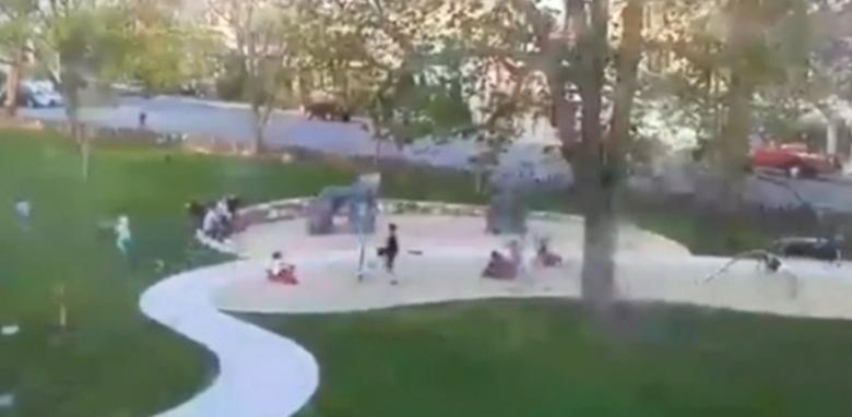 SCENĂ DRAMATICĂ! Un copac URIAȘ cade peste mai mulți copii, în parc. Momentul este surprins de camerele de supraveghere (VIDEO)