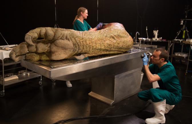 Ai idee cum ar arăta autopsia unui  Tyrannosaurus Rex? National Geographic își suflecă mâinile să îți arate...