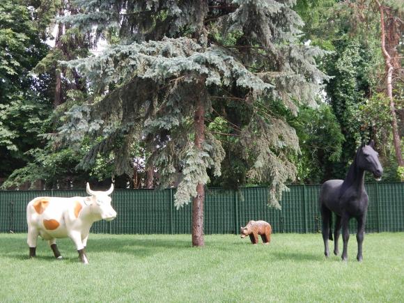 Băsescu şi-a luat vacă să-i treacă dorul de ferma de la Nana 