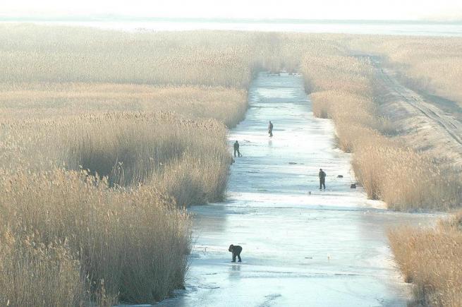 Redescoperă România. Delta iarna - năvoditul sub gheață