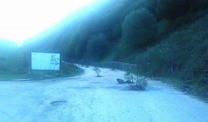 Locuitorii comunei Măguri Răcătău au plantat brazi în hârtoapele de pe drumul județean 107T