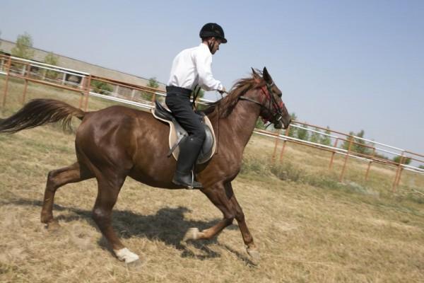 Redescoperă România. Povestea cailor pur-sânge ai hergheliei de la Tulucești