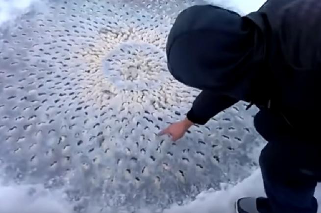 Un obiect bizar descoperit într-un lac înghețat din Utah aprinde imaginația internauților (VIDEO)