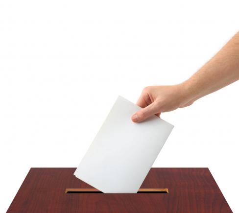 AEP propune ca alegerile locale să aibă loc la 5 iunie