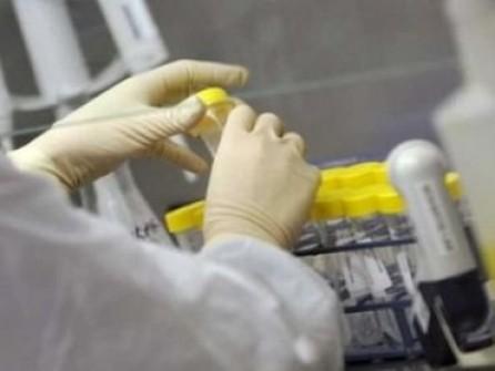Cinci cazuri de gripă porcină în Dâmboviţa. Boala a provocat decese în Ucraina