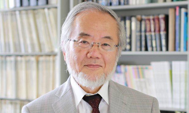 Nobelul Medicină 2016: Prof. Ohsumi, pentru explicarea cauzelor cancerului, Parkinson... 