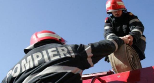 Incendiu în Argeş: Căţel intoxicat cu fum, resuscitat de pompieri (VIDEO)