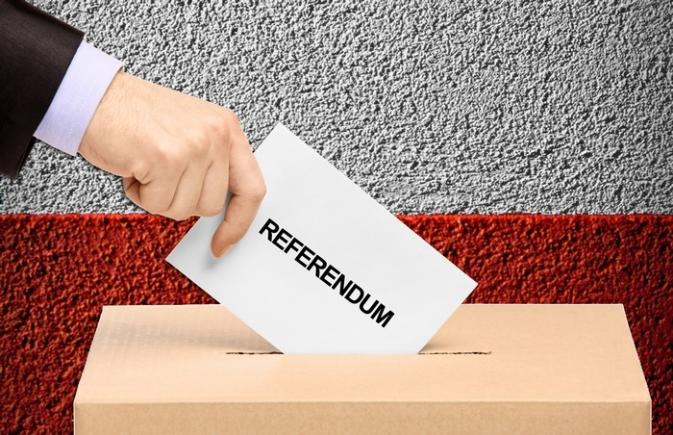 CÂND şi CUM ar putea fi organizat referendumul?