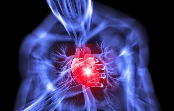 Atenție! Regenerarea inimii după infarct