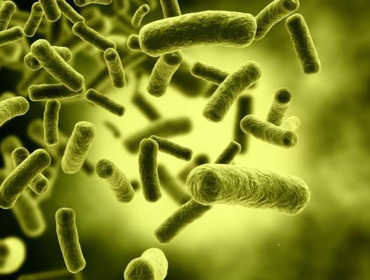 Epidemie: O bacterie neobișnuită: 300 de mutații într-un an! 