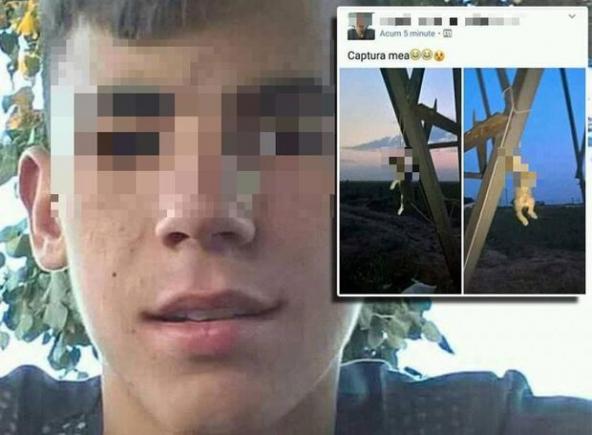 Dosar penal pentru copilul din Mehedinți, care a spânzurat două pisici și a postat fotografiile pe Facebook