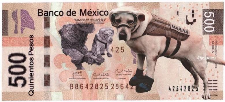 De ce vor mexicanii să pună un câine pe bancnota de 500 de pesos