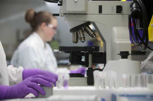 O echipă de cercetători britanici testează vaccinul antigripal universal