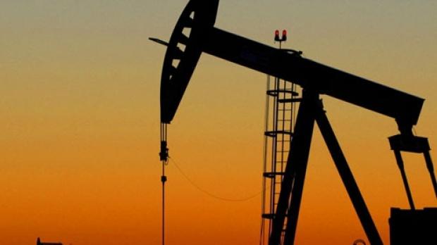 Petrolul din Timiş va fi rafinat în Serbia, la Pancevo