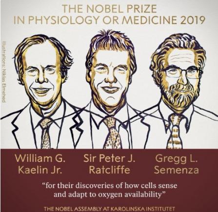 Cine sunt câştigătorii Premiului Nobel pentru Medicină