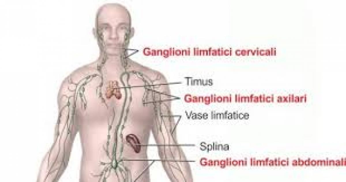 Localizarea ganglionilor limfatici pe mâini, funcții, boli posibile