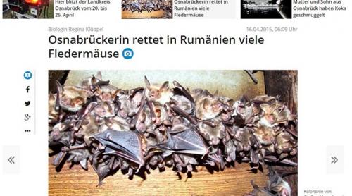 Pasiune neobisnuita pentru un biolog german: salveaza lilieci in Romania!