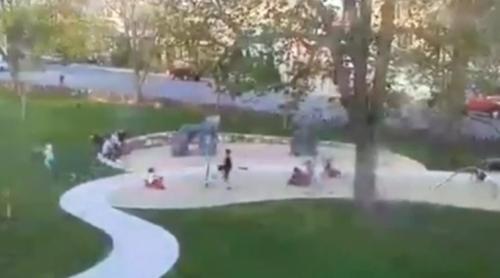 SCENĂ DRAMATICĂ! Un copac URIAȘ cade peste mai mulți copii, în parc. Momentul este surprins de camerele de supraveghere (VIDEO)
