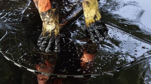 Dezastru ecologic în California. Zeci de mii de tone de petrol s-au scurs în Oceanul Pacific. Autoritățile au declarat STARE DE URGENȚĂ (VIDEO)