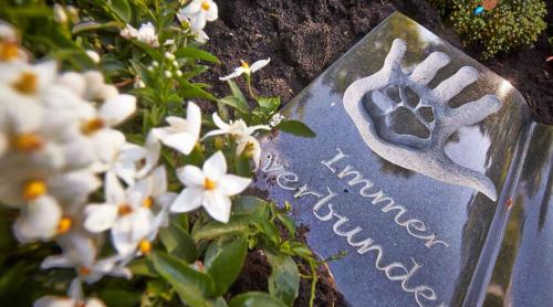 În Germania este posibil să fii înmormântat alături de animalul de companie