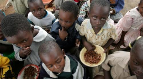 Raport tragic al ONU: 800 de milioane de oameni suferă de foame