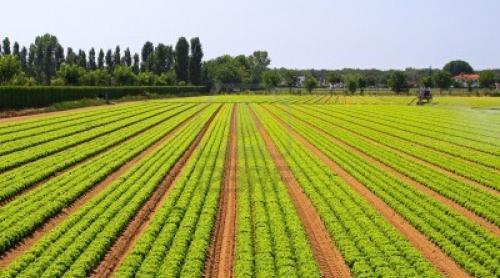 Ministrul Daniel Constantin promite ”marea cadastrare” a terenurilor agricole