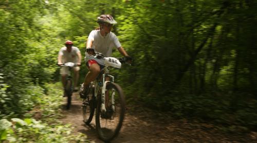 Biciclete gratuite in Padurea Baneasa