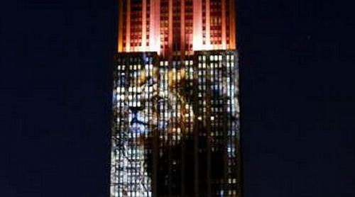 Cum a ajuns leul Cecil pe Empire State Building (Video)