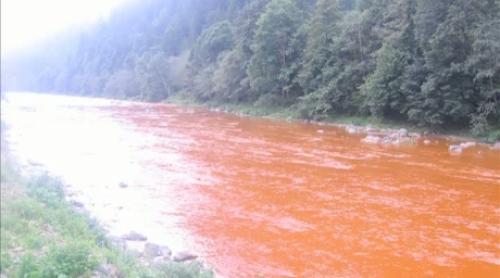 Râul Bistriţa, poluat pe o distanţă de 20 km cu apă de mină. Apa a devenit roşie!