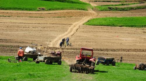 Ministrul Agriculturii cere ajutor de la UE pentru fermierii români loviţi de secetă