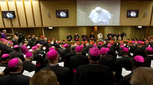 Papa Francisc: Biserica nu este un muzeu, iar Sinodul episcopilor nu este un parlament cu negocieri, pacte şi compromisuri 