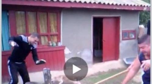 SE CONSIDERĂ NORMALI? Trei tineri din județul Brăila s-au filmat tăind cu toporul coada unui câine! (VIDEO)