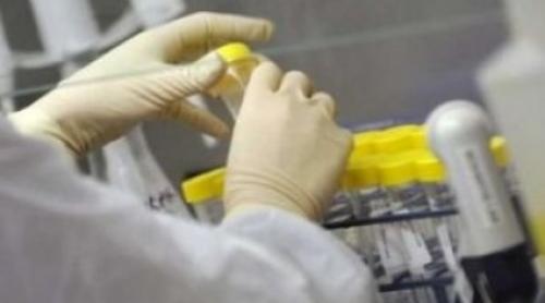 Cinci cazuri de gripă porcină în Dâmboviţa. Boala a provocat decese în Ucraina