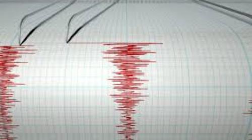Cutremur de 3,2 grade pe scara Richter, în Vrancea
