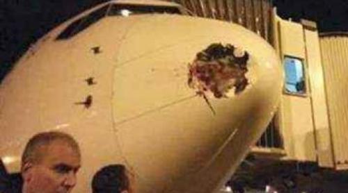 O pasăre a dat o gaură de jumătate de metru într-un avion de pasageri 
