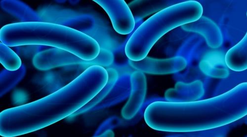 SUA: Primul caz de infecție cu bacterii foarte rezistente la antibiotice