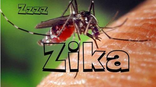 2,6 miliarde de persoane sunt expuse riscului de infecție cu Zika