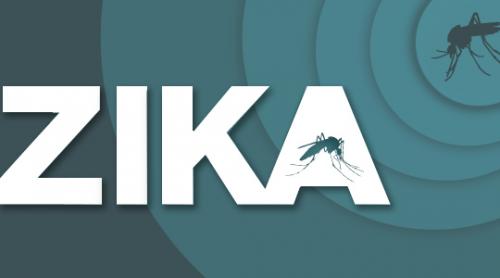  Zika: Urmele virusului descoperite în ochi şi lacrimi, la rozătoare infectate