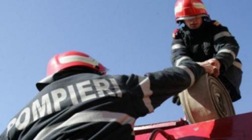 Incendiu în Argeş: Căţel intoxicat cu fum, resuscitat de pompieri (VIDEO)