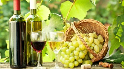 L’ Express: România, ”creștere spectaculoasă” a producției viticole