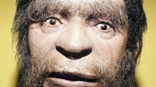 Ce am moştenit de la omul de Neanderthal: Schizofrenia, colesterolul, tulburările de alimentație și un bronz frumos