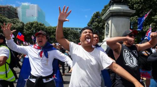 Proteste în Noua Zeelandă: Polițiștii acuză manifestanții că aruncă cu excremente umane