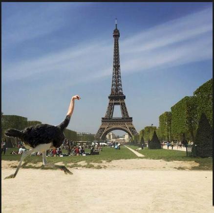 A cerut ajutorul internetului să-și editeze fotografia cu Turnul Eiffel. 