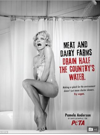 Pamela Anderson, din nou goală Pamela Anderson, din nou goală