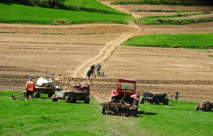 Ministrul Agriculturii vrea sa dea bani pentru refacerea CAP-urilor