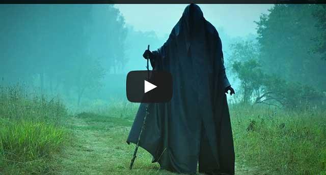 O CREATURA MARINĂ VERDE  a stârnit GROAZA taiwanezilor! (VIDEO)