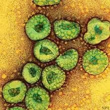 Atenţie! Coronavirusul care provoacă infecţii respiratorii chiar şi letale, s-a extins din Orientul Mijlociu în Coreea de Sud