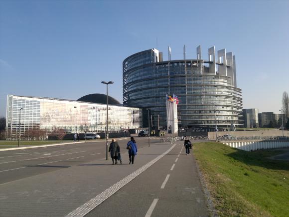 Parlamentul European va adopta un regulament unic pentru sănătatea animalelor Parlamentul European va adopta un regulament unic pentru sănătatea animalelor