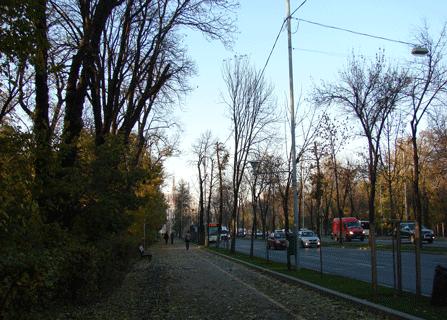 ATENŢIE! Trecerea pentru pietoni din „Intersecţia morţii“ de pe KISELEFF, desfiinţată de astăzi. VIEŢI CURMATE în unul dintre cele mai periculoase locuri din Bucureşti ATENŢIE! Trecerea pentru pietoni din „Intersecţia morţii“ de pe KISELEFF, desfiinţată de astăzi. VIEŢI CURMATE în unul dintre cele mai periculoase locuri din Bucureşti