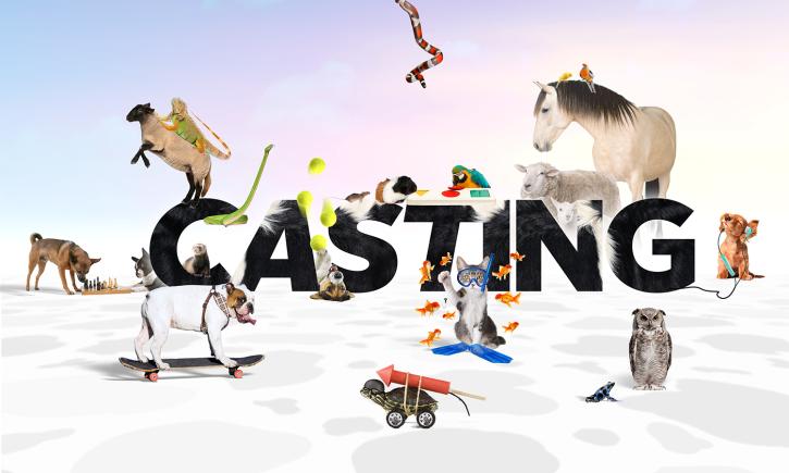 Animalele... Ham talent! Antena 1 a stabilit numele noului show cu animale. Când au loc preselecțiile